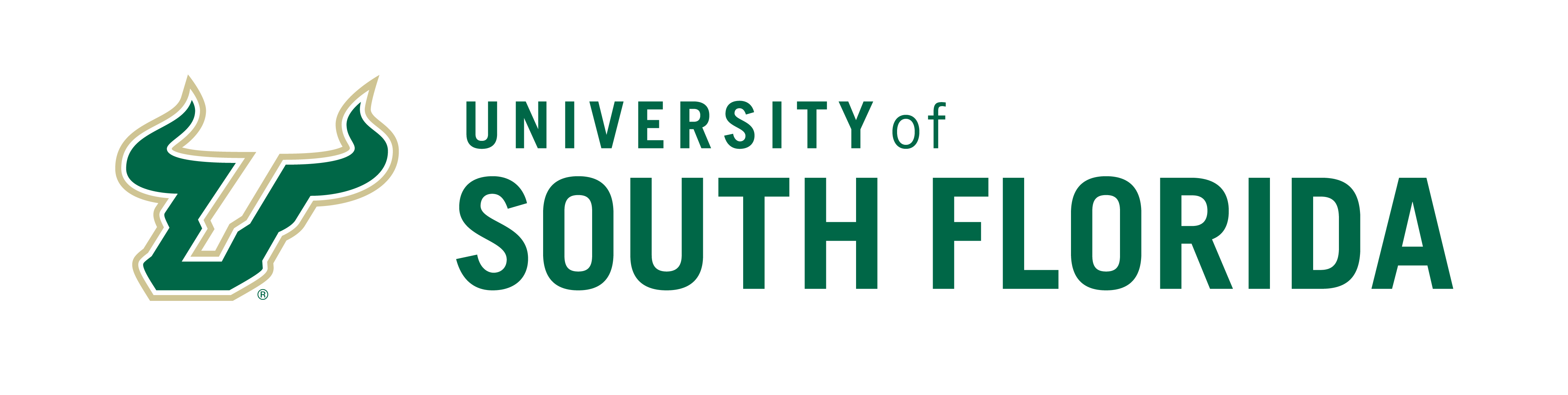 Partner Institution 3